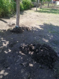 Отпугиватель кротов Profi Plus Super Spiker Pest Control на солнечной батарее (5414528004771) фото от покупателей 6