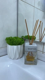 Кашпо со мхом гипсовое MiNature Moss ягель зелёный