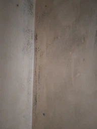 Средство Glutoclean от плесени с хлором 0.5 л (4044899387916) фото от покупателей 9