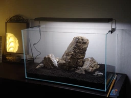 Акваріум aGLASS Classic 66л (60*31*36) фото від покупців 2