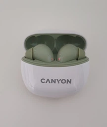 Наушники Canyon TWS-5 Black (CNS-TWS5B) фото от покупателей 1