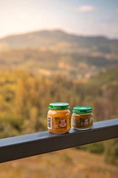 Дитяче пюре Gerber Яблуко з 6 місяців 80 г (7613033514036) фото від покупців 15