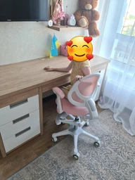 Дитяче крісло Evo-kids Mio Air Pink (Y-307 KP) фото от покупателей 11