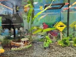 Грунт для акваріума 2-5 мм Nechay Zoo «Чорний кристал» 10 кг фото від покупців 12