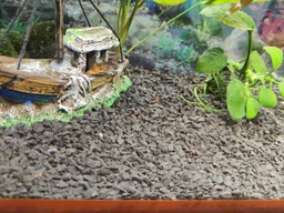 Грунт для акваріума 2-5 мм Nechay Zoo «Чорний кристал» 10 кг фото від покупців 10