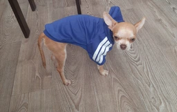 Толстовка для собак однотонна Pet Style "Спорт" Синя 4XL