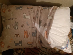 Порно ертегі жоқ