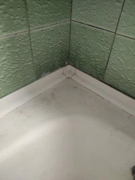Средство для удаления грибка и плесени BALU Mold Plus 5 л (4820159426737) фото от покупателей 1