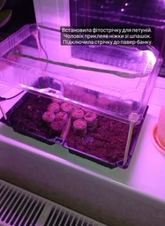 Світлодіодна ФитоЛента для Кімнатних Рослин з 5V USB 2835 Фитолампа Повний Спектр від GrowLight 0.5 Метра (L362F)