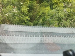 Шипи від птахів і тварин, 0,5 м (висота шипа 3 см) напівпрозорий