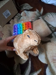 Плюшевая мягкая игрушка Капибара Capybara тренды TikTok декор для детской комнаты подарок на день рождения 18см фото от покупателей 6
