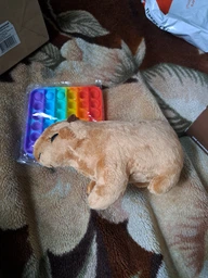 Плюшевая мягкая игрушка Капибара Capybara тренды TikTok декор для детской комнаты подарок на день рождения 18см фото от покупателей 5