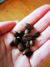 Кава в зернах Lavazza Qualita Oro Mountain Grown 6 кг (ящик) фото від покупців 3
