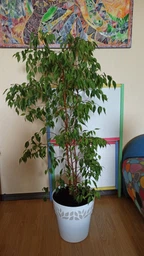 Вазон круглий Stefanplast Opera Cloe 15 х 15 х 15 см Графіт/світло-сірий (94003) фото от покупателей 16