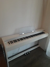 Цифровое пианино Casio Privia PX-770 White (PX-770WEC7) фото от покупателей 11