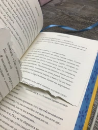 Пляжне чтиво Емілі Генрі