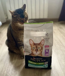 Сухой корм для стерилизованных кошек Purina Pro Plan Sterilised Senior 7+ с индейкой 10 кг фото от покупателей 16
