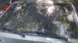 Средство для удаления следов гудрона K2 TAR REMOVER 0.3 л (K193) фото от покупателей 16