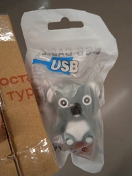 Жіночі фігурні флешки Dinosaur Driver 32GB Koala Gray фото від покупців 1