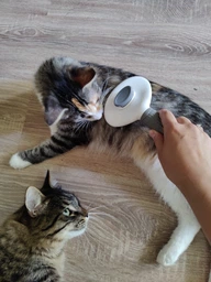 Щетка пуходерка Meow Meow для вычесывания шерсти и подшерстка у кошек и собак самоочищающаяся 11х8х20 см серая (000003) фото от покупателей 10