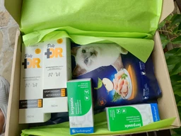 Антибактериальный шампунь Vetbio, Dr.Pets с хлоргексидином и кетоконазолом для собак и кошек , 150 мл. фото от покупателей 1