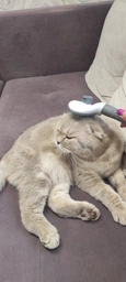 Щетка пуходерка Meow Meow для вычесывания шерсти и подшерстка у кошек и собак самоочищающаяся 11х8х20 см серая (000003) фото от покупателей 8