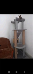Высокий кошачий комплекс когтеточка с домом, гамаком для котов мелких и средних пород 190х80х60см бежево коричневый