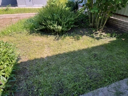 Триммер Bosch EasyGrassCut 26 (06008C1J01) фото от покупателей 3