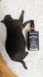 Теннесси Виски Jack Daniel's Old No.7 3 л 40% (без подставки) (5099873045114N_5099873145111)