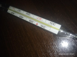 Термометр медичний Gamma Thermo Eco скляний рідинний без ртуті (6948647010508) фото від покупців 5