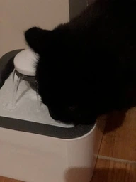 Поилка для животных Pet Water FOUNTAIN фото от покупателей 13