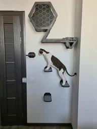 Настенная кровать для кота, шестиугольная полка для кота, 3 настенные ступеньки. Полки для кота. Цвет темное дерево фото от покупателей 3