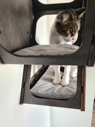 Настенная кровать для кота, шестиугольная полка для кота, 3 настенные ступеньки. Полки для кота. Цвет темное дерево фото от покупателей 1