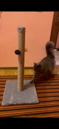 Дряпка для кота Мур-Мяу Стовпчик-2 37х37х72 см для кішок у джутовій мотузці Бежевий