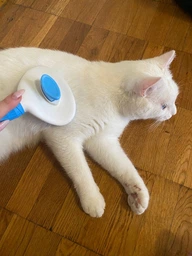 Щетка пуходерка Meow Meow для вычесывания шерсти и подшерстка у кошек и собак самоочищающаяся 11х8х20 см голубая (000002) фото от покупателей 4