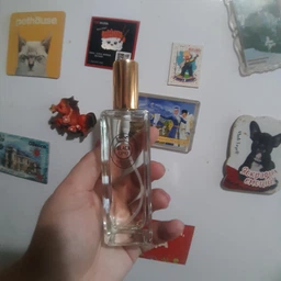 Туалетная вода для женщин EVA cosmetics Ароматы мира Black opio 50 мл (04370101203) (4820107593566) фото от покупателей 1