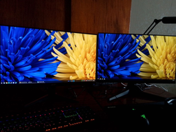 Монітор 24" Samsung S24С310 (LS24С310EAIXCI) фото від покупців 11