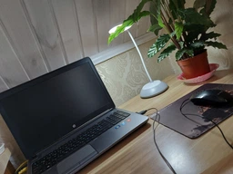 Аккумуляторная настольная лампа TITANUM TLTF-022G 7W 3000-6500K с USB, с регулировкой яркости и температуры света, серая фото от покупателей 3