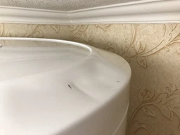 Бойлер 100л. TIKI Prime 100 V9 - Gorenje (TG 100) фото от покупателей 2