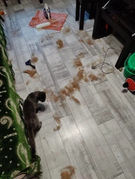 Фурминатор для котов с длинной шерстью FURminator размер L (691662) (4048422141280)