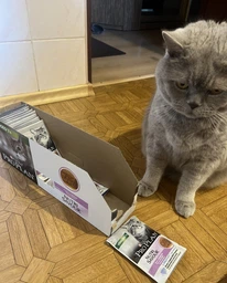 Вологий корм для стерилізованих котів Purina Pro Plan Sterilised Пуріна Проплан з куркою в підливці пауч 85 г 26 шт (7613036092852) фото від покупців 6