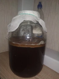 Продукт Чайний гриб KomBUCHA BOX 1 шт на 3л банку фото від покупців 12
