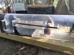 Мишоловка живоловка багаторазова з прозорого пластику Humane Trap (НТ-25295) фото від покупців 5