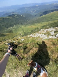 Палки для похода горные Eagle Rock TREK0312 (оранж) Туристические палки для хайкинга треккинга бэкпекинга регулируемые фото от покупателей 12