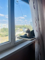 Спальное место для кошки кровать лежанка оконная гамак Sunny Seat Window фото от покупателей 2