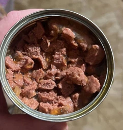 Консерва для дорослих котів з Лососем та Птицею Chicopee Cat Adult Jelly Salmon & Poultry 195 г фото від покупців 2