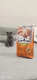 Сухий корм для котів Club 4 Paws Преміум з кроликом 300 г (4820269140202)