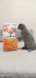 Сухий корм для котів Club 4 Paws Преміум з кроликом 300 г (4820269140202) фото від покупців 2