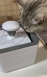 Поилка для животных Pet Water FOUNTAIN фото от покупателей 12