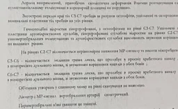 Принтер Kyocera Ecosys P2040dn (1102RX3NL0)